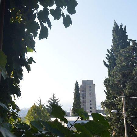 Alex'S Cosy Guesthouse Tbilisi Bagian luar foto