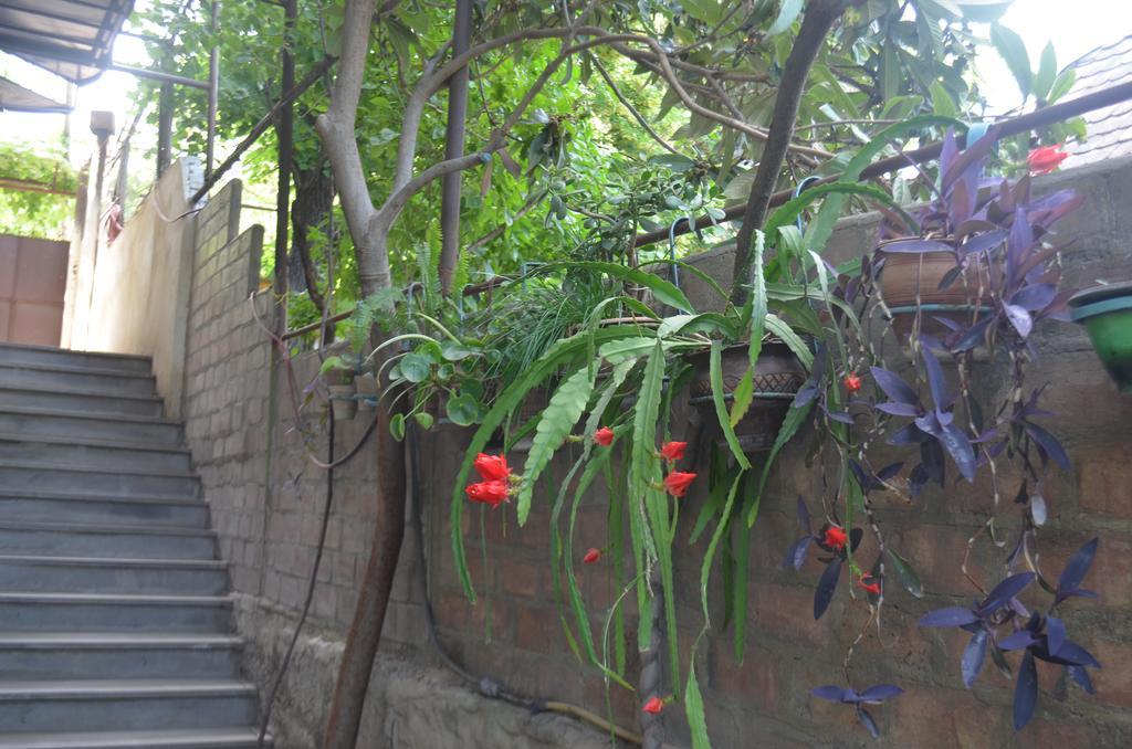 Alex'S Cosy Guesthouse Tbilisi Bagian luar foto