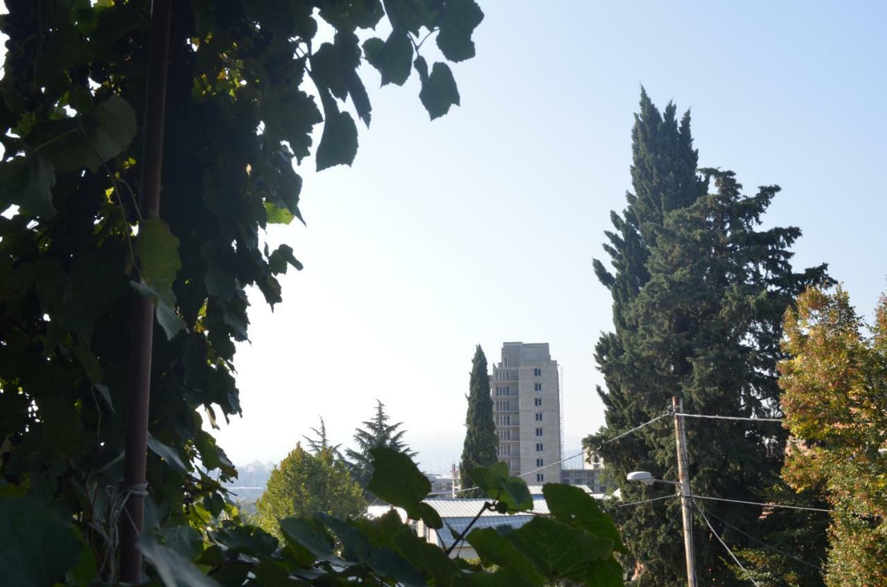 Alex'S Cosy Guesthouse Tbilisi Bagian luar foto